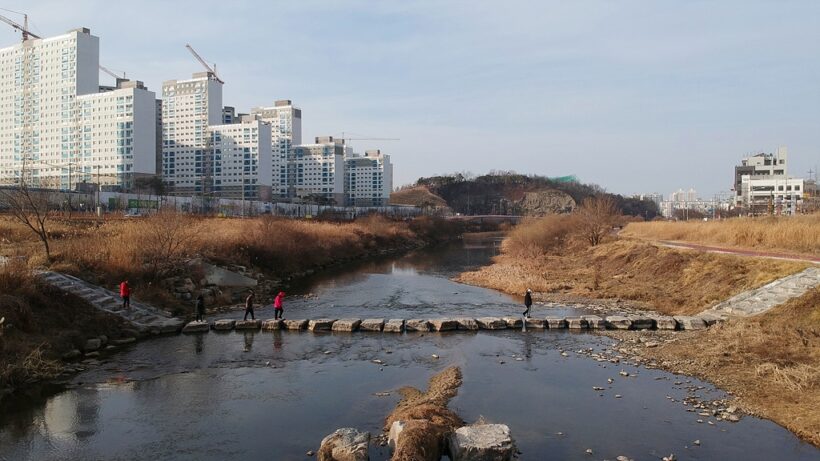 2019.02.04. 명절 연날리기.