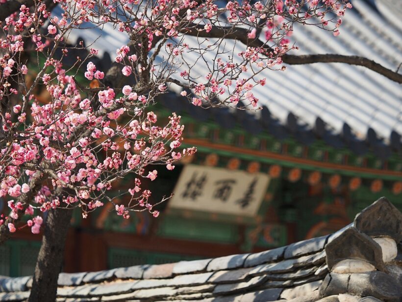 40-150 pro 렌즈 테스트(를 겸한 나들이)