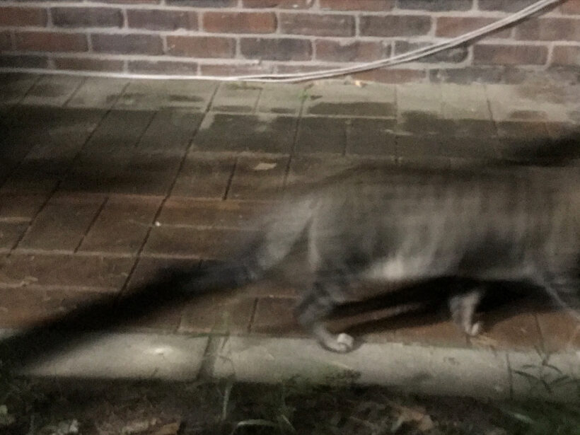 카메라랑 놀기: 셔터속도와 심령사진에 관하여