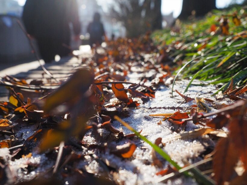 지각, 遲刻, 知覺.