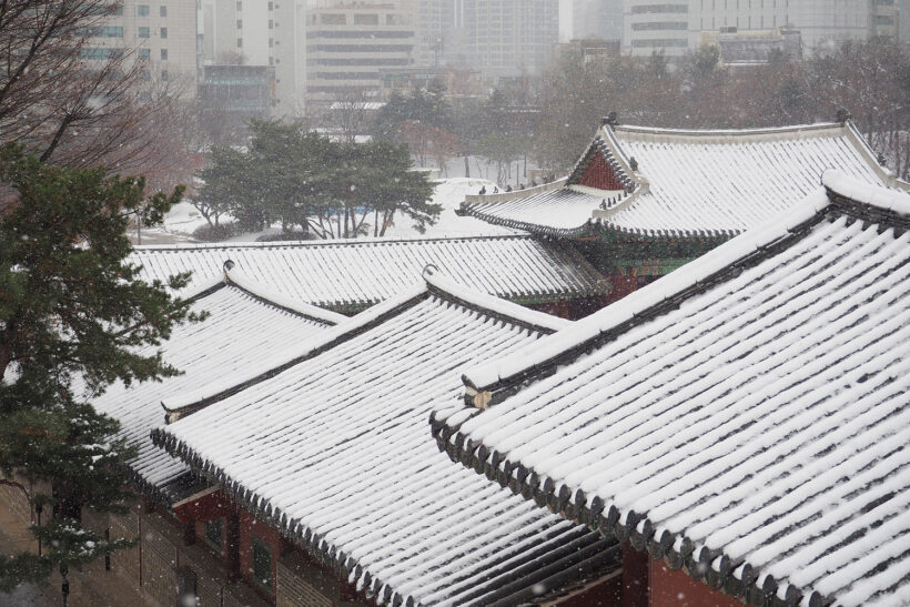 겨울에도 마감이 있다면. @경희궁