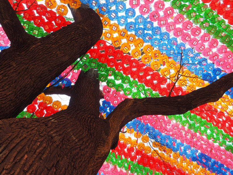 존재는 현재, 삶은 미래. @조계사