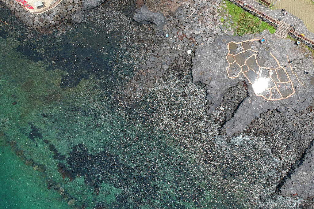 바닷가를 위에서 내려다 본 사진. 왼쪽 하단에 맑은 바닷물이 있고, 중앙을 사선으로 가로질러 바위 해안, 오른쪽 위에는 소금빌레가 있다.
