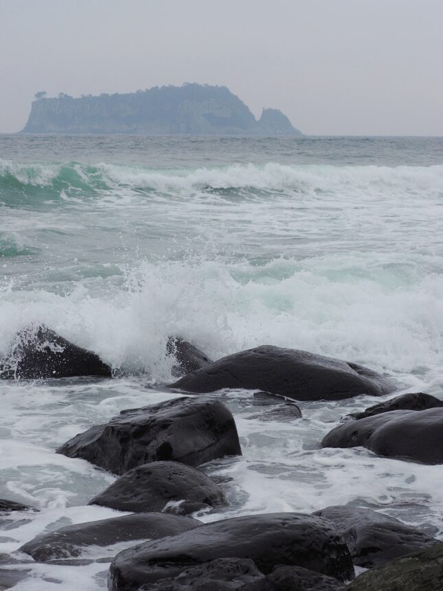 돌을 밟고 돌아가자: 제주도 걷기 (2)