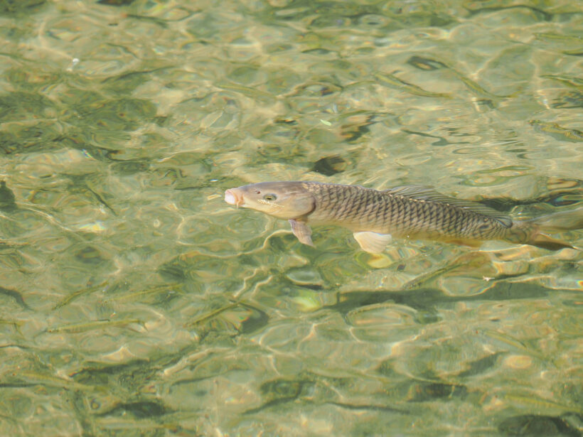 방역수칙 지켰니? 이제 백신 주사를 맞자