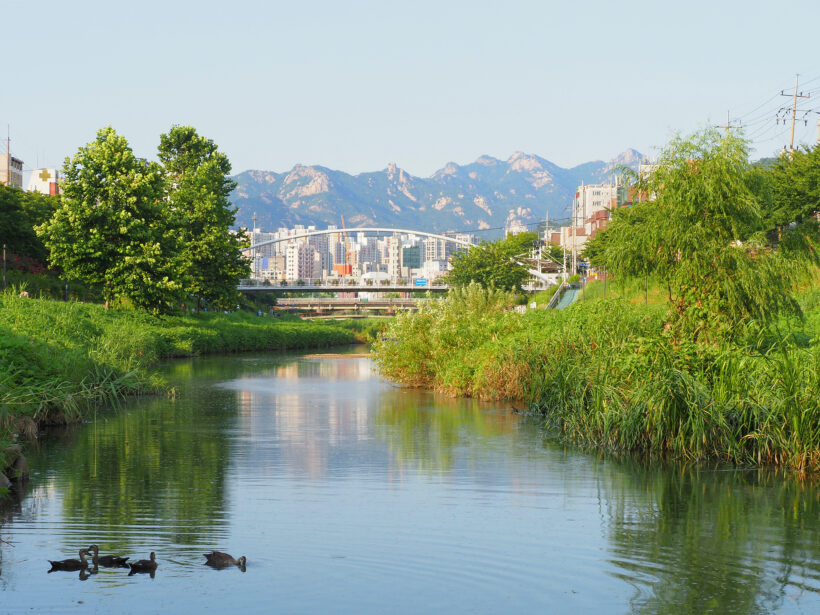 여름휴가의 위로… 위를 바라보면 ‘더 위’가 있다
