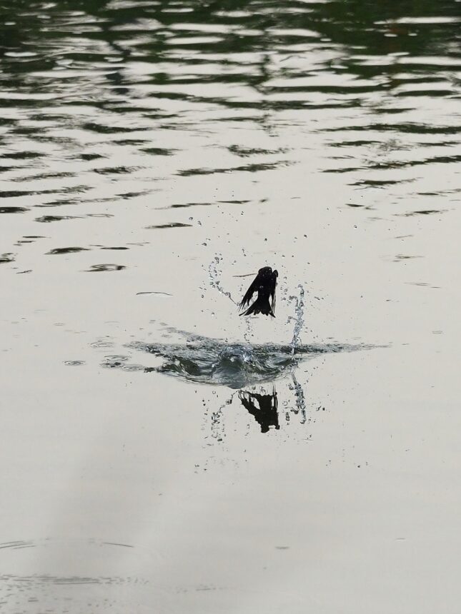 서울, 네 해, 네 번째 퇴사, 그리고 어영부영 다섯 번째 직장