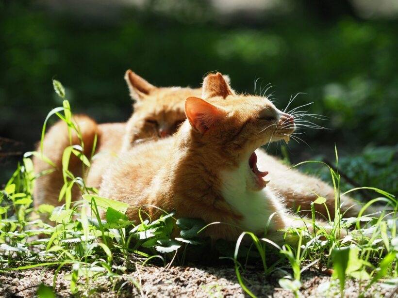 금요일의 솔, 일요일의 시 @서울 창경궁