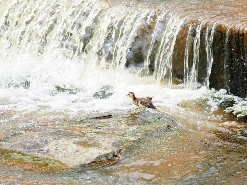 뭘 했다고 또 연말연시(올해의 사진 15선)