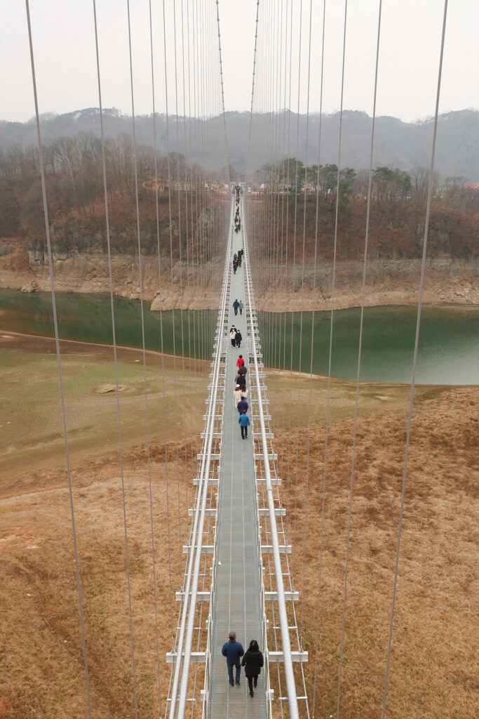 화면을 세로로 가로지르는 출렁다리. 위에서 본 모습.