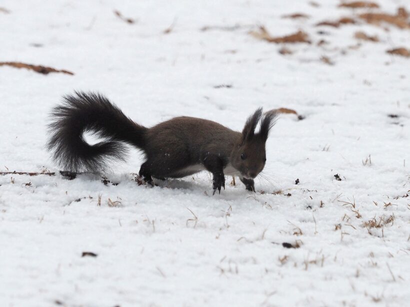 뭘 했다고 또 연말 v.2023 (올해의 사진 13선)