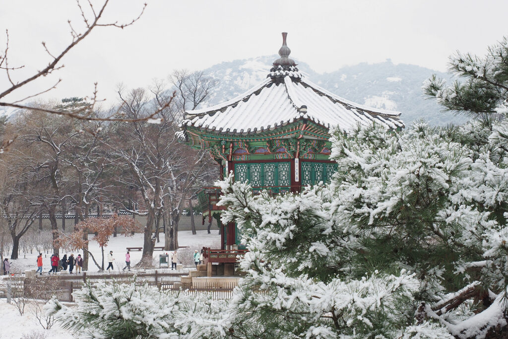 경복궁 향원정과 그 주변에 눈이 쌓여 있다. 침엽수 한 그루가 정자를 살짝 가리고 있다. 뒤쪽으로 여러 사람이 지나가고 있다.