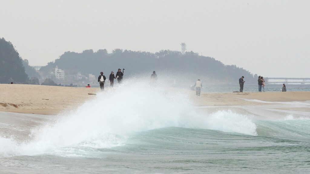 사람 키 정도 높이로 보이는 큰 파도가 밀려와 하얗게 부서지고 있다. 멀리 관광객 몇 명이 보인다.